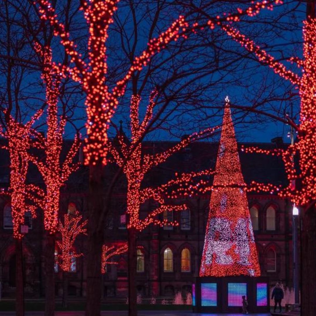 Guirlande Twinkly Pro RVB L25m - 24V